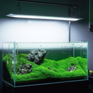 ZERO SILICON TANKS ON ORDER